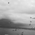 Barış Arduç Instagram -