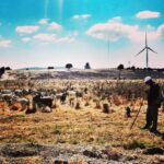 Barış Arduç Instagram –