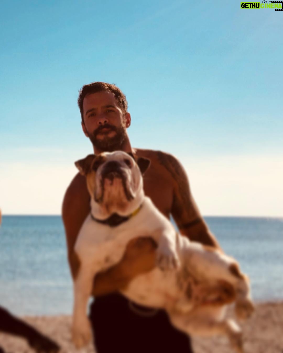 Barış Arduç - 545.1K Likes - 🤘🏽😎 Müdür