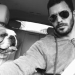 Barış Arduç Instagram –