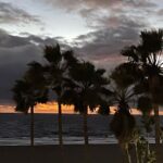 Baran bo Odar Instagram - Good night, LA. Good morning, LA…