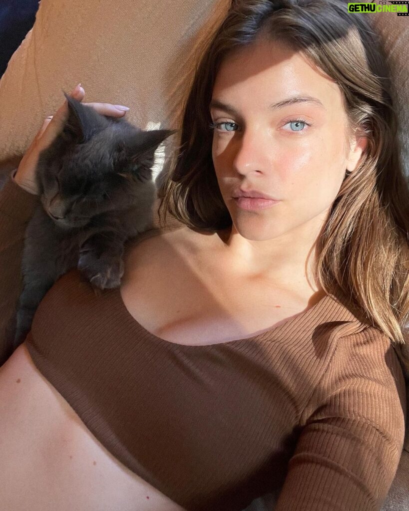 Barbara Palvin Instagram - Friday cozy vibes courtesy of @alo and our new furry babies. 🤎🤎