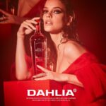 Barbara Palvin Instagram - Meet @Dahlia. 🌺 Delicate, courageous, modern and artistic. A new, fashion take on tequila. Follow along to see the rest of the campaign🤗#findyourdahlia