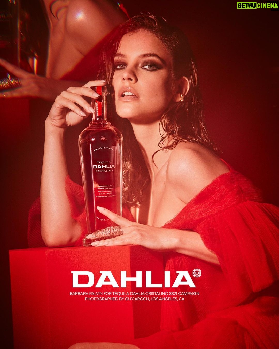 Barbara Palvin Instagram - Meet @Dahlia. 🌺 Delicate, courageous, modern and artistic. A new, fashion take on tequila. Follow along to see the rest of the campaign🤗#findyourdahlia