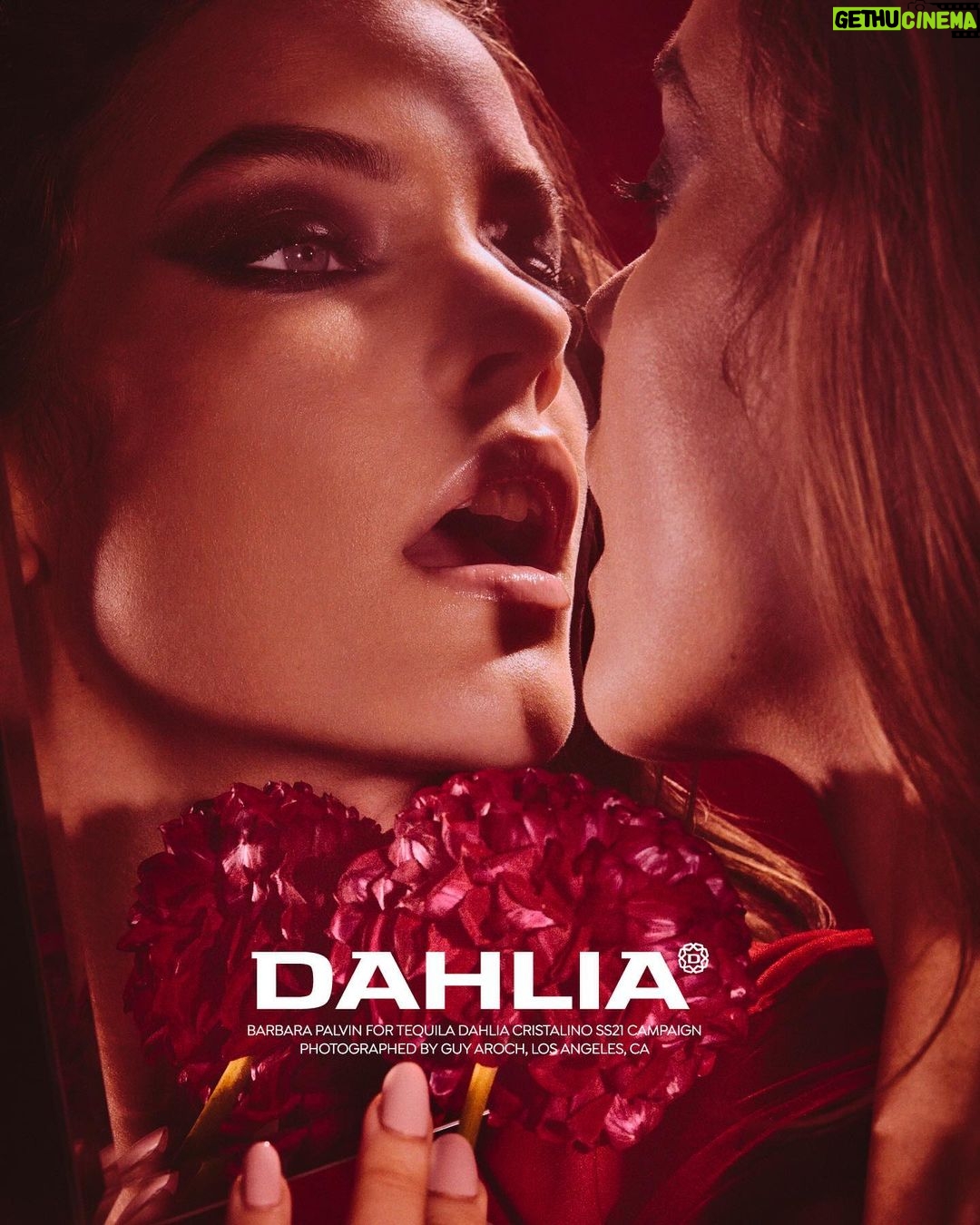 Barbara Palvin Instagram - Meet @Dahlia. 🌺 Delicate, courageous, modern and artistic. A new, fashion take on tequila. Follow along to see the rest of the campaign🤗#findyourdahlia