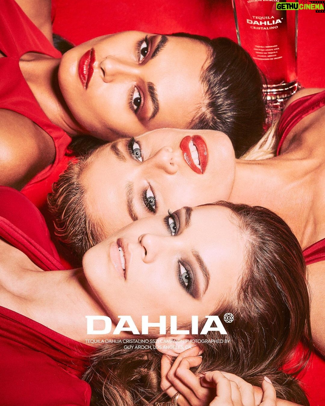 Barbara Palvin Instagram - Meet @Dahlia. 🌺 Delicate, courageous, modern and artistic. A new, fashion take on tequila. Follow along to see the rest of the campaign🤗#findyourdahlia