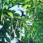 Barrett Doss Instagram – Too many pics to post. these are some of them… there will be more. i love Thailand 🇹🇭