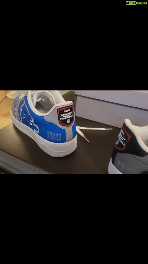 Barry Sanders Instagram - Hey @espn - check out my custom painted @nike shoes for #DETvsLV tonight. My @NFL love started as a kid rooting for the @raiders but 100% of my love is in Detroit, with the @detroitlionsnfl team that drafted me. cool to have my first and last step in this pair. @atwater_christopher your design is perfect. Ford Field, Detroit