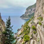 Beatriz Costa Instagram - The purpose is enjoyment. 🩵 Capri Island, Italy