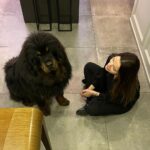 Begüm Kütük Instagram - Hayatımda gördüğüm en koccaman köpeksin PATRICK! ♥️😍 #dog #tibetmastiff