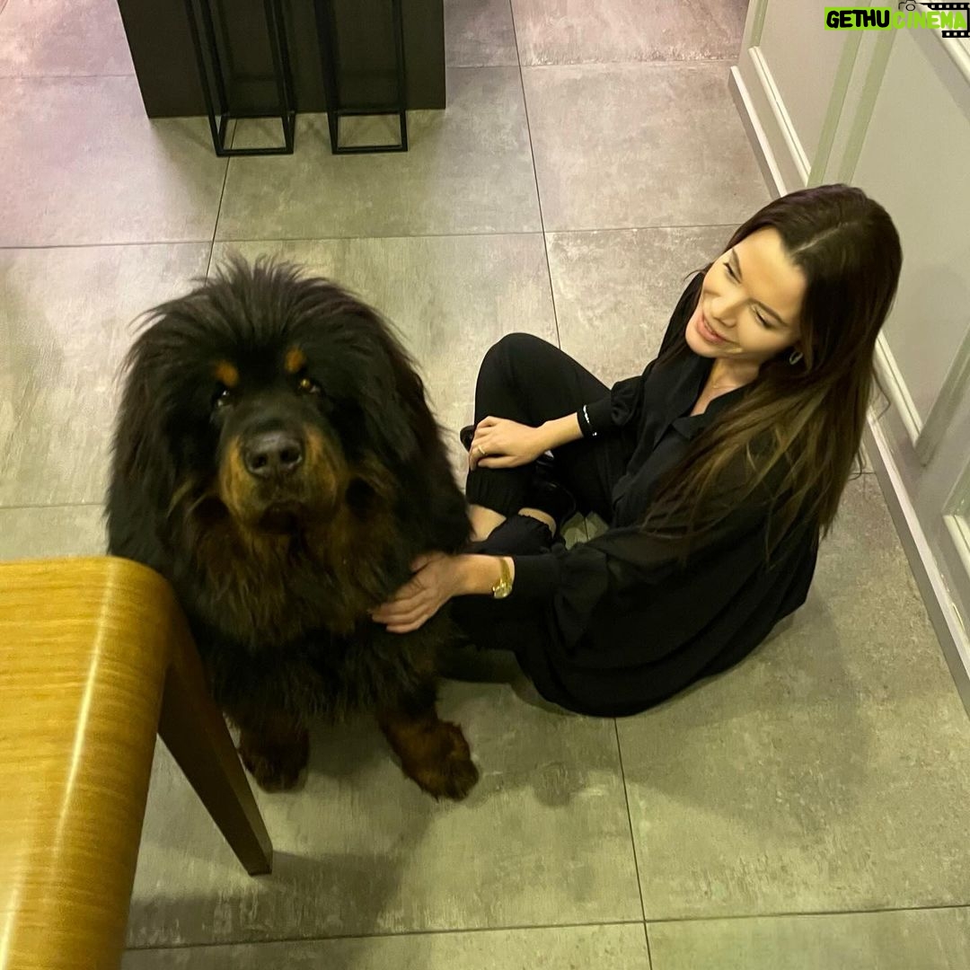 Begüm Kütük Instagram - Hayatımda gördüğüm en koccaman köpeksin PATRICK! ♥️😍 #dog #tibetmastiff