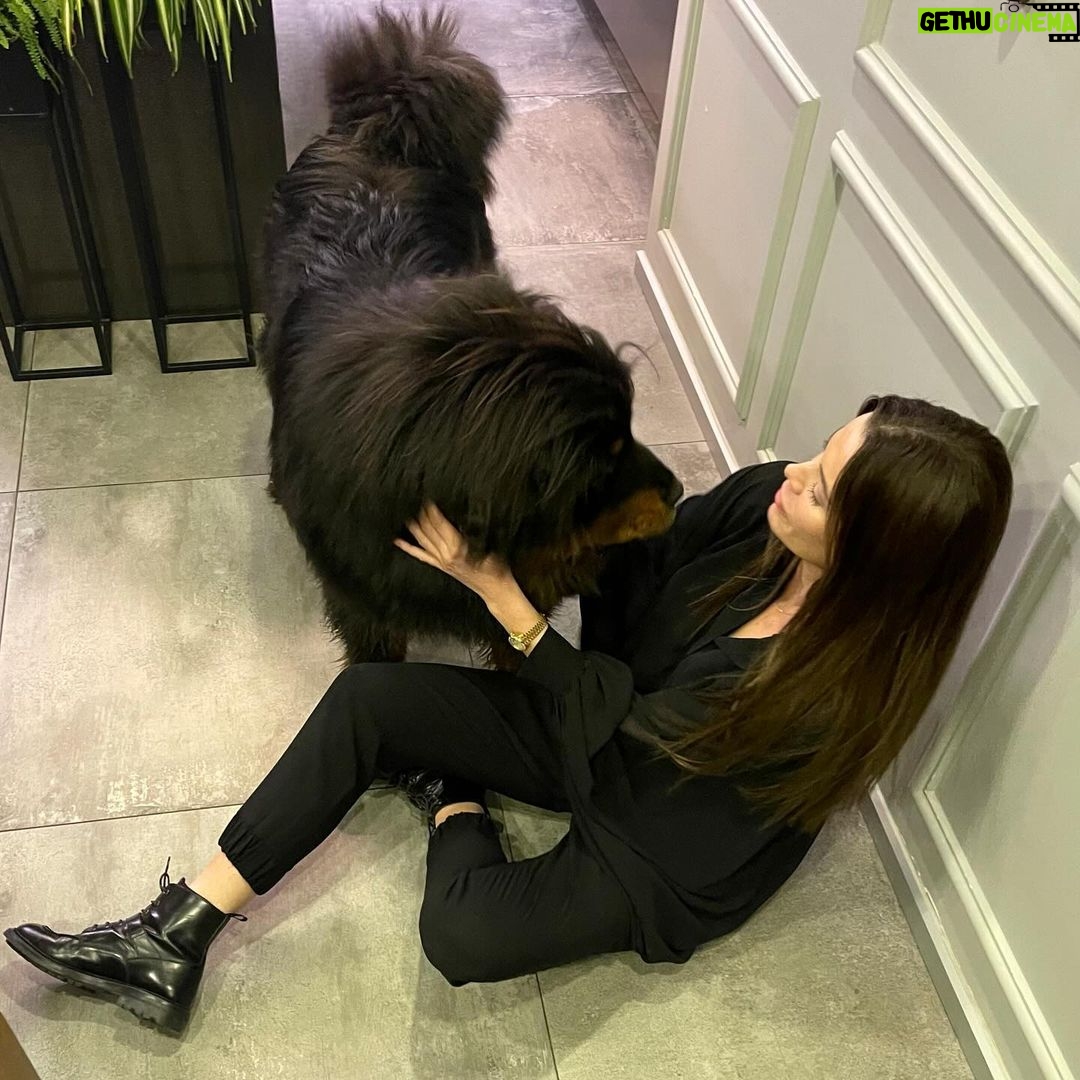 Begüm Kütük Instagram - Hayatımda gördüğüm en koccaman köpeksin PATRICK! ♥️😍 #dog #tibetmastiff