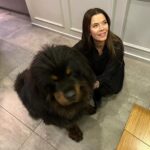Begüm Kütük Instagram - Hayatımda gördüğüm en koccaman köpeksin PATRICK! ♥️😍 #dog #tibetmastiff