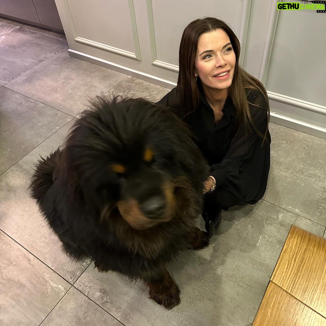 Begüm Kütük Instagram - Hayatımda gördüğüm en koccaman köpeksin PATRICK! ♥️😍 #dog #tibetmastiff