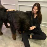 Begüm Kütük Instagram - Hayatımda gördüğüm en koccaman köpeksin PATRICK! ♥️😍 #dog #tibetmastiff