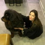 Begüm Kütük Instagram - Hayatımda gördüğüm en koccaman köpeksin PATRICK! ♥️😍 #dog #tibetmastiff
