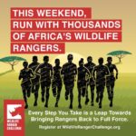 Behati Prinsloo Instagram - Today is THE DAY! Get running and get giving to the World Ranger Challenge! You can make a difference by running and donating to support @savetherhinonamibia and 150 teams of brave men and women throughout Africa who are joining the challenge. Register at WildifeRangerChallenge.org #ForWildlifeRangers. Please make a donation today using this link.: justgiving.com/campaign/wildliferangerchallenge2021 For supporters in USA, please use this link: https://wildliferangerchallenge.org/donate-usa/