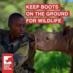 Behati Prinsloo Instagram - Are You #ForWildlifeRangers ? Like the iconic wildlife they protect, rangers deserve to be backed by an explosion of voices. We must spread the word about these vital frontline conservation defenders and the nature that depends on them. Together we can reach millions. We can raise awareness, and we can mobilize support. It all starts with you. Lend us your voice, and speak up for wildlife defenders. If we shout loud enough, together we will be heard. Join in with #ForWildlifeRangers Please donate and your generosity will be matched by the Scheinberg Relief Fund: https://wildliferangerchallenge.org/donate-usa/