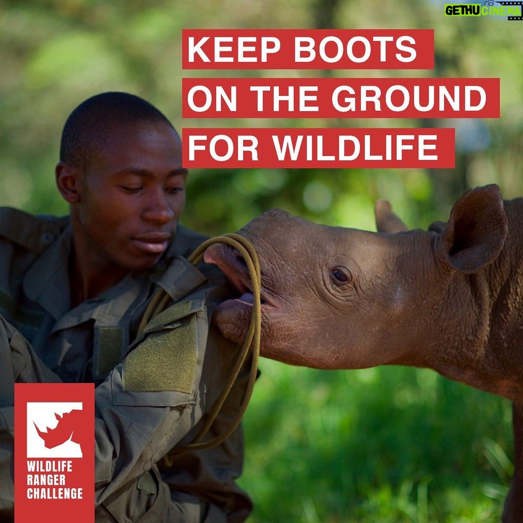 Behati Prinsloo Instagram - Are You #ForWildlifeRangers ? Like the iconic wildlife they protect, rangers deserve to be backed by an explosion of voices. We must spread the word about these vital frontline conservation defenders and the nature that depends on them. Together we can reach millions. We can raise awareness, and we can mobilize support. It all starts with you. Lend us your voice, and speak up for wildlife defenders. If we shout loud enough, together we will be heard. Join in with #ForWildlifeRangers Please donate and your generosity will be matched by the Scheinberg Relief Fund: https://wildliferangerchallenge.org/donate-usa/