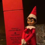 Behati Prinsloo Instagram – The elf is watching…