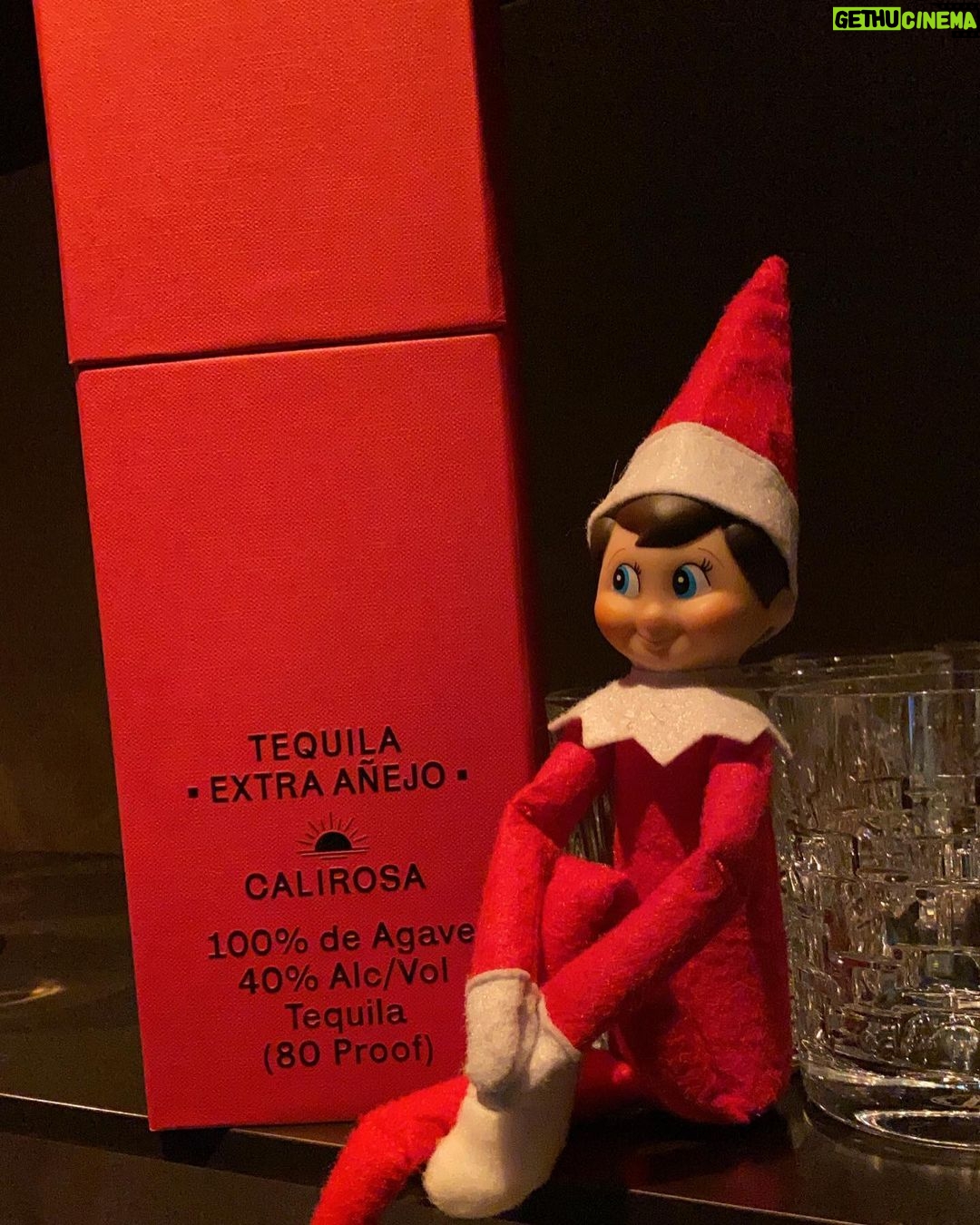Behati Prinsloo Instagram - The elf is watching…