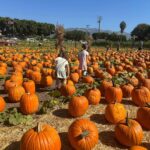 Behati Prinsloo Instagram – October was magic 🧚🏻
