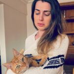 Belfu Benian Instagram - Artık benim de bir kedili postum olmalı. @merijuana