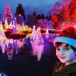 Benjamin Evan Ainsworth Instagram – Feeling so christmassy at the Festival of Lights. 🌲🎅🏼⛄️