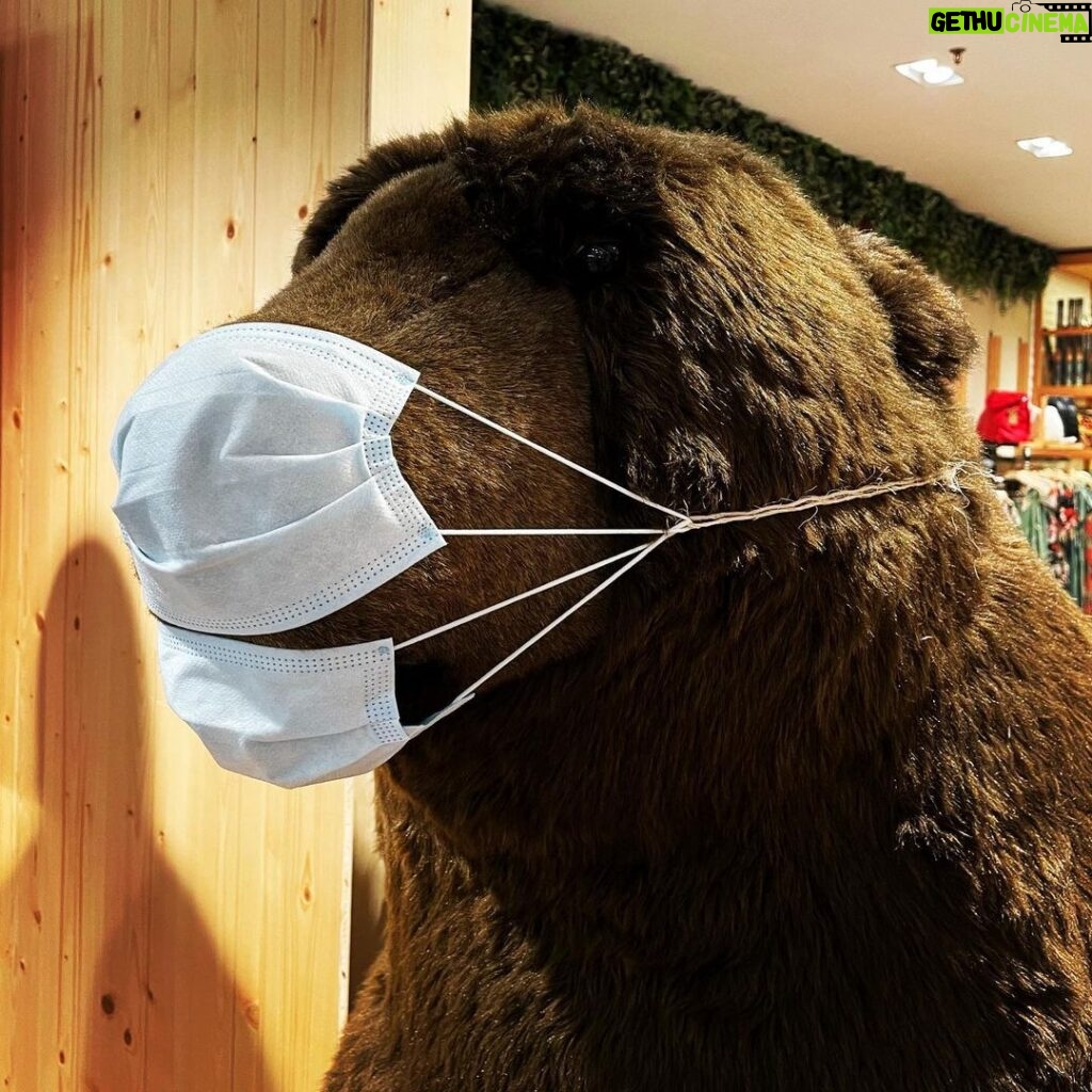 Bento Rodrigues Instagram - Boca e nariz, urso! ☺️