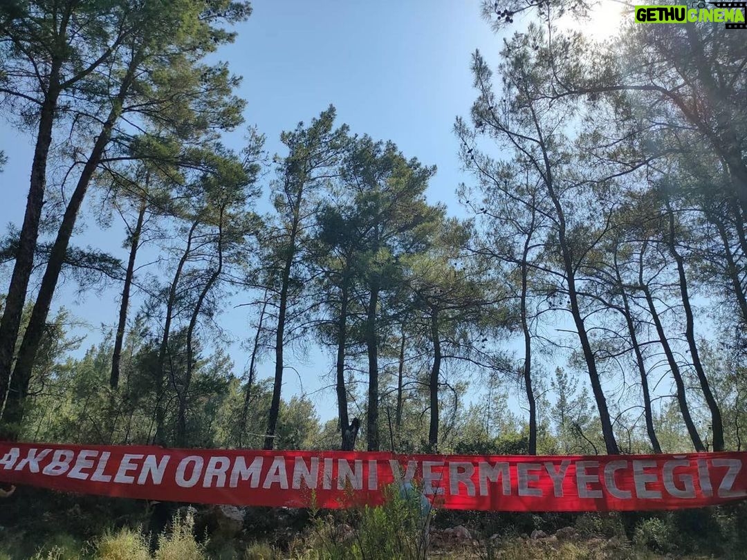 Beren Saat Instagram - Akbelen Ormani’nda kesim basladi! 🥺🌳 repost @ikizkoy.direniyor ・・・ Akbelen Ormanına Geçit Vermeyeceğiz.Bir ağaç daha eksilmeyeceğiz!! #AkbelenOrmanınıVermeyeceğiz