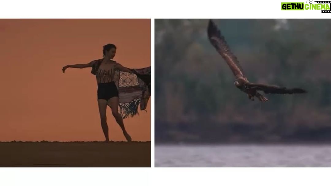 Beren Saat Instagram - Don’t forget to fly😄 Issız Ada, Kenan Dogulu director: omer faruk sorak