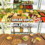 Beren Saat Instagram - Soframıza gelen gıdaların 3'te 1'ini arılara borçluyuz 🐝 Arılar tehdit altında!! En büyük riski arılara zarar veren pestisitler oluşturuyor. Sen de kampanyaya katıl, Avrupa Birliği'nde yasaklanan tarım ilaçları Türkiye'de de yasaklansın!! 🐝🐝🐝 linkinbio! #savethebees #arılarıkoru #greenpeace