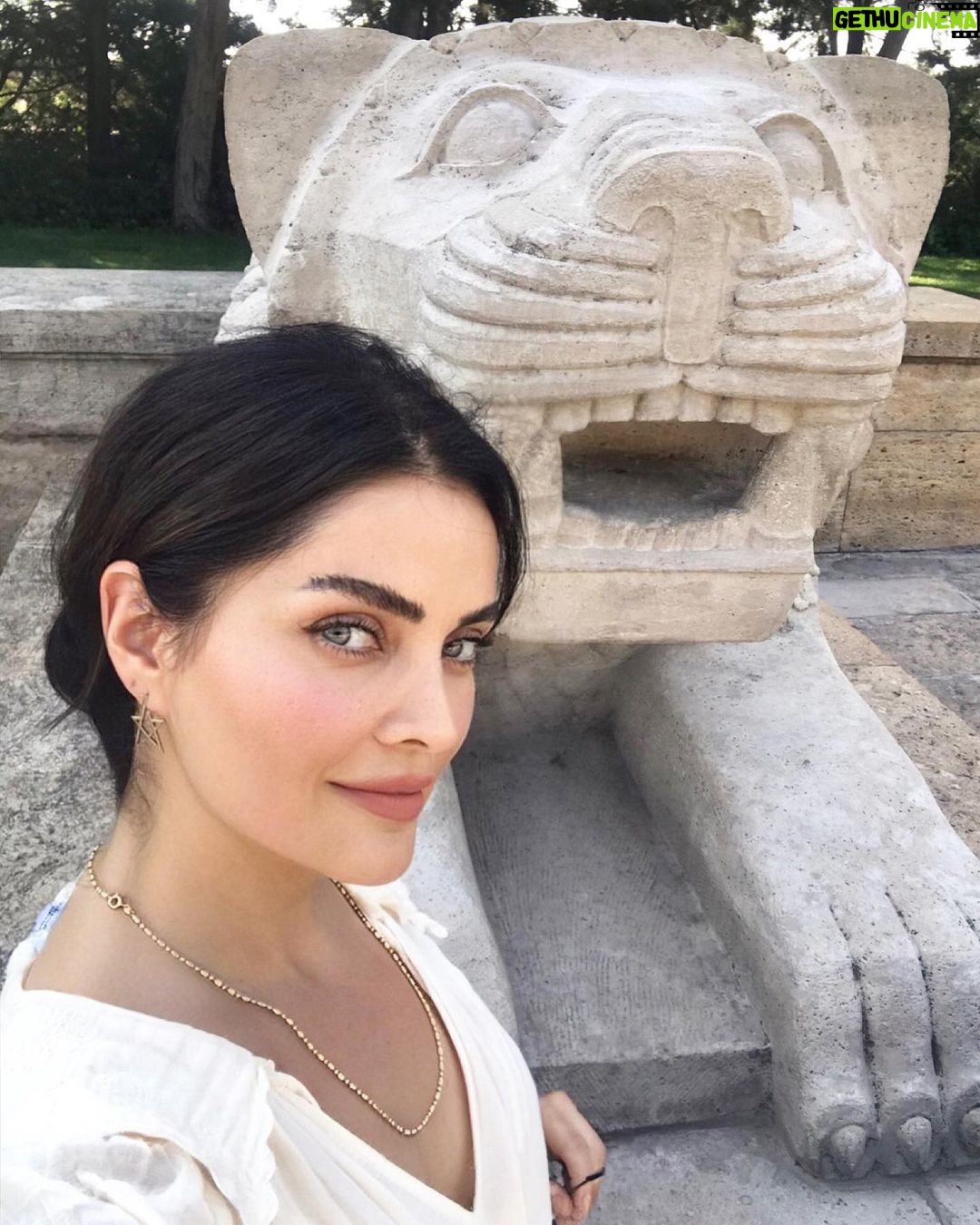Betül Şahin Instagram - Samimiyetin lisanı yoktur. Samimiyet sözlerle açıklanamaz. O, gözlerden ve tavırlardan anlaşılır. Mustafa Kemal Atatürk Anıtkabir