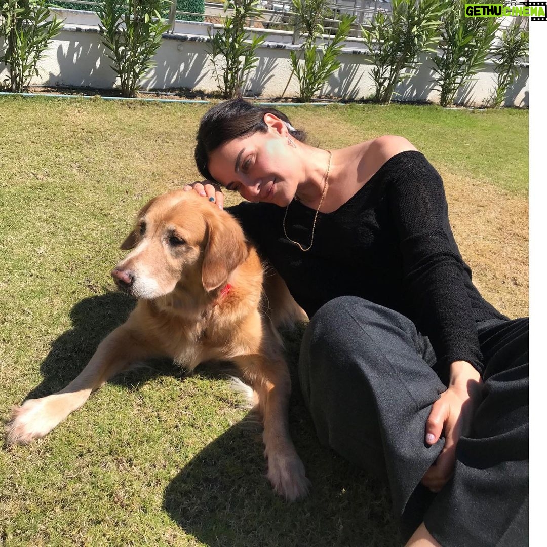 Betül Şahin Instagram - İyi bayramlar diliyoruz karmenle☘️🐶🥰