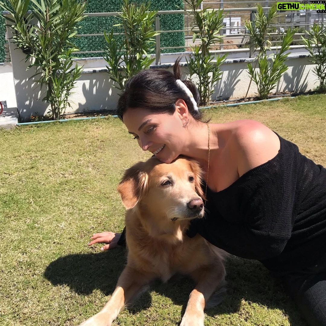 Betül Şahin Instagram - İyi bayramlar diliyoruz karmenle☘️🐶🥰