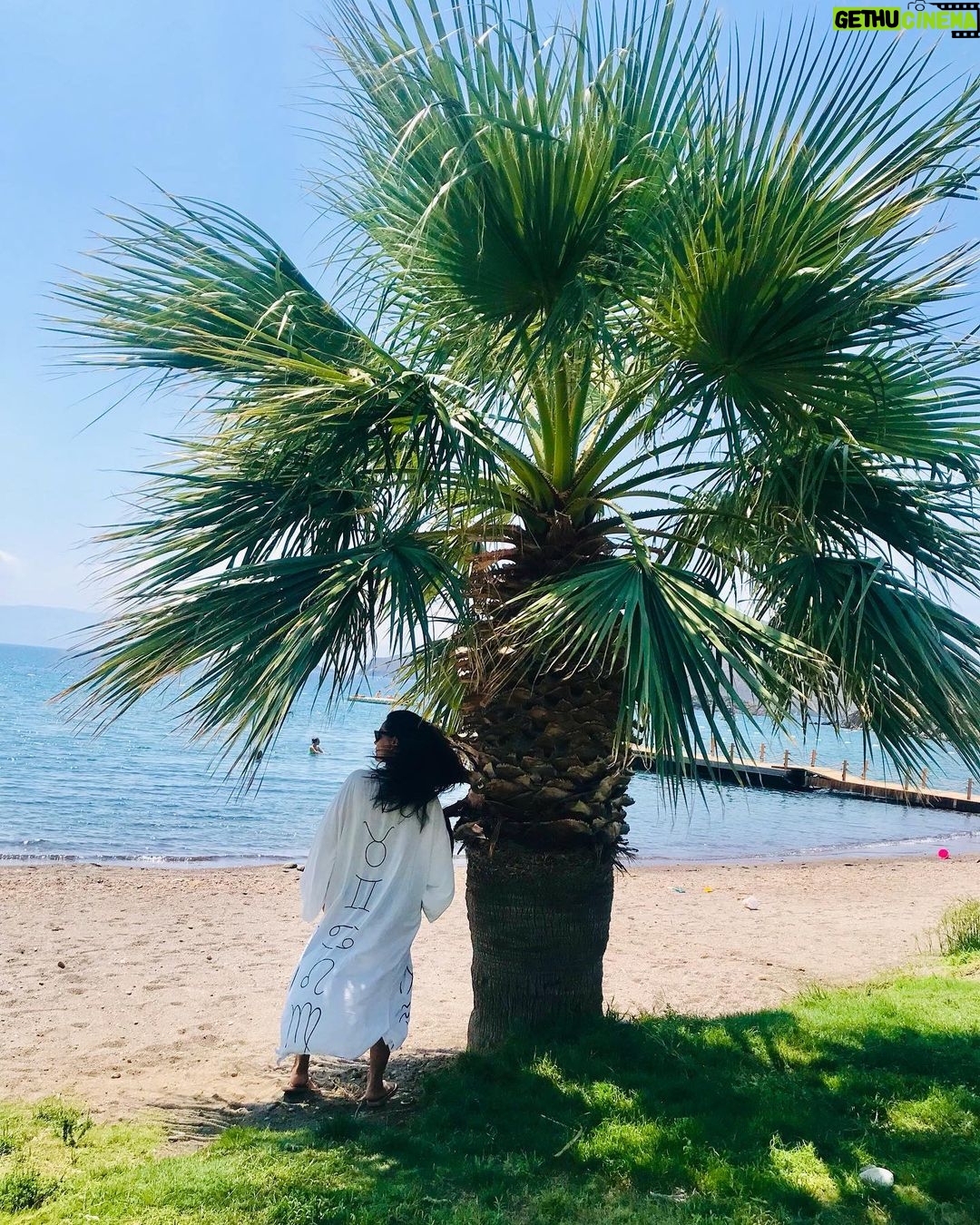 Betül Şahin Instagram - İyi bir yolcunun belirlenmiş bir planı yoktur, ve ulaşmaya da niyeti yoktur.