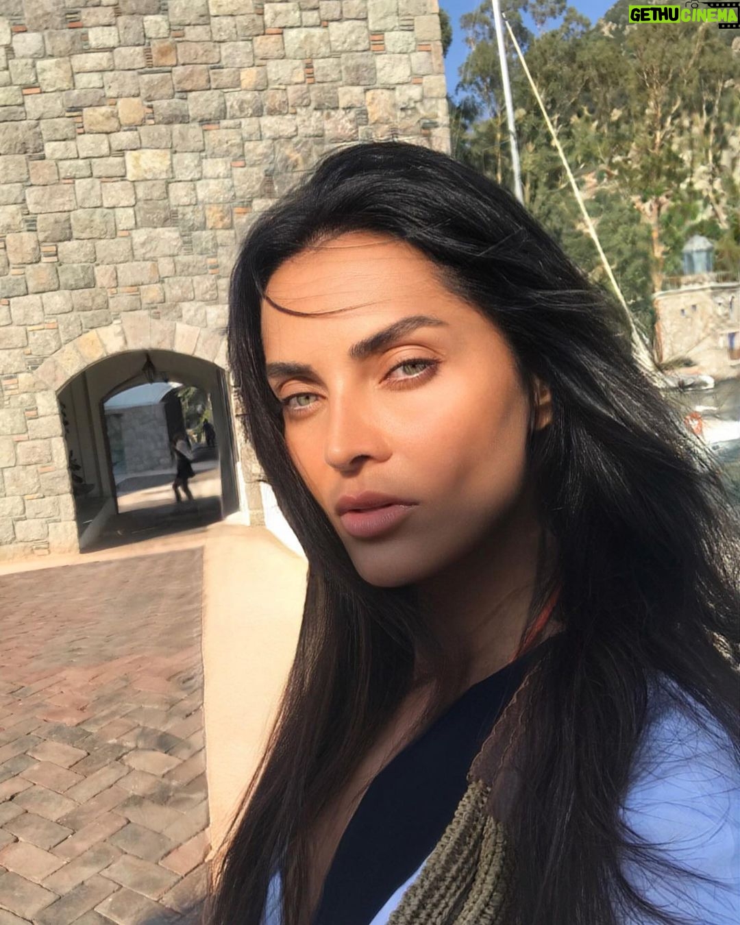 Betül Şahin Instagram - Yüreğimi korkak büyütmedim. Kaybettiklerim, dağıttığım servetimdir.