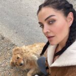 Betül Şahin Instagram - Sevsinler seni🐶🦮🤎