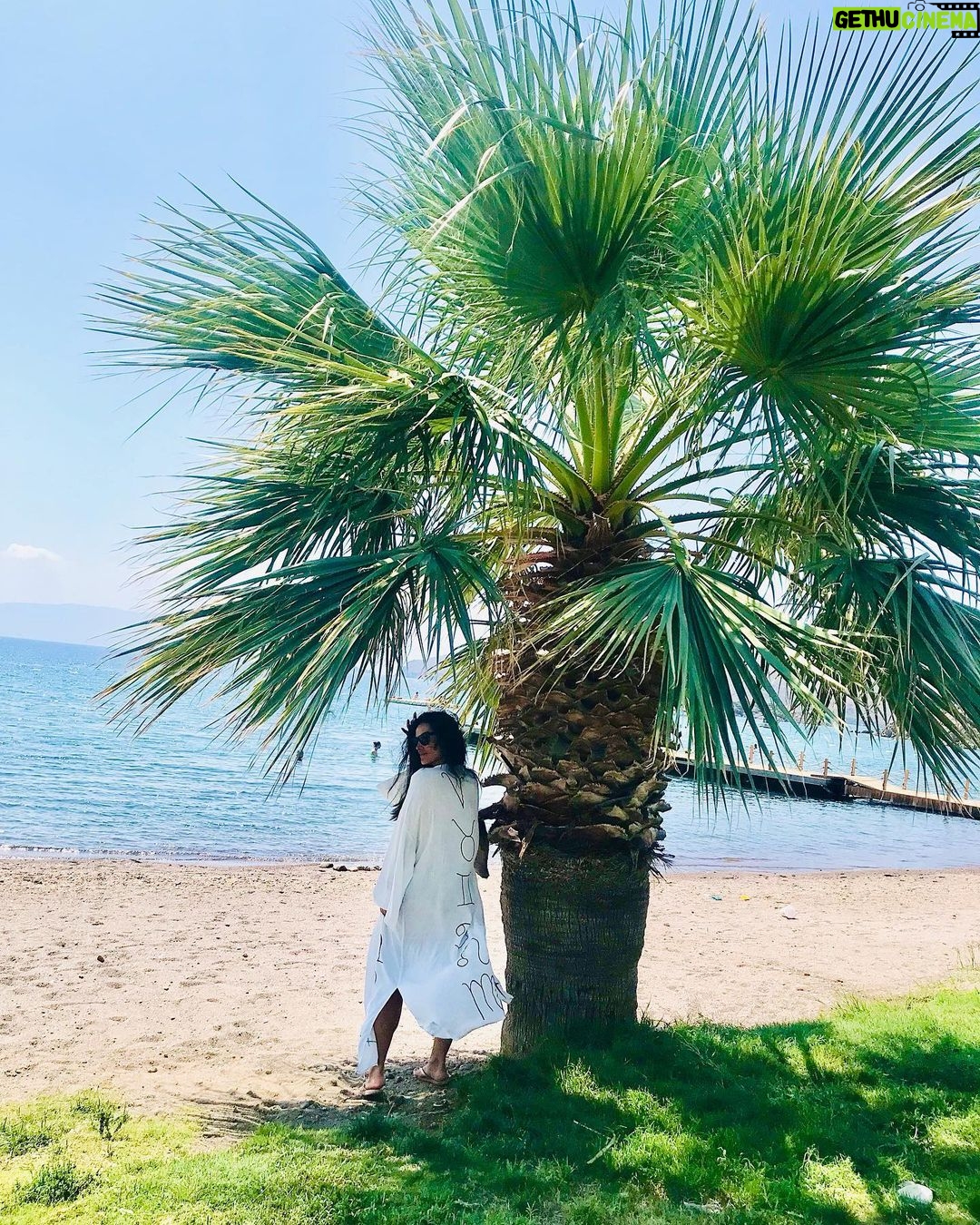 Betül Şahin Instagram - İyi bir yolcunun belirlenmiş bir planı yoktur, ve ulaşmaya da niyeti yoktur.