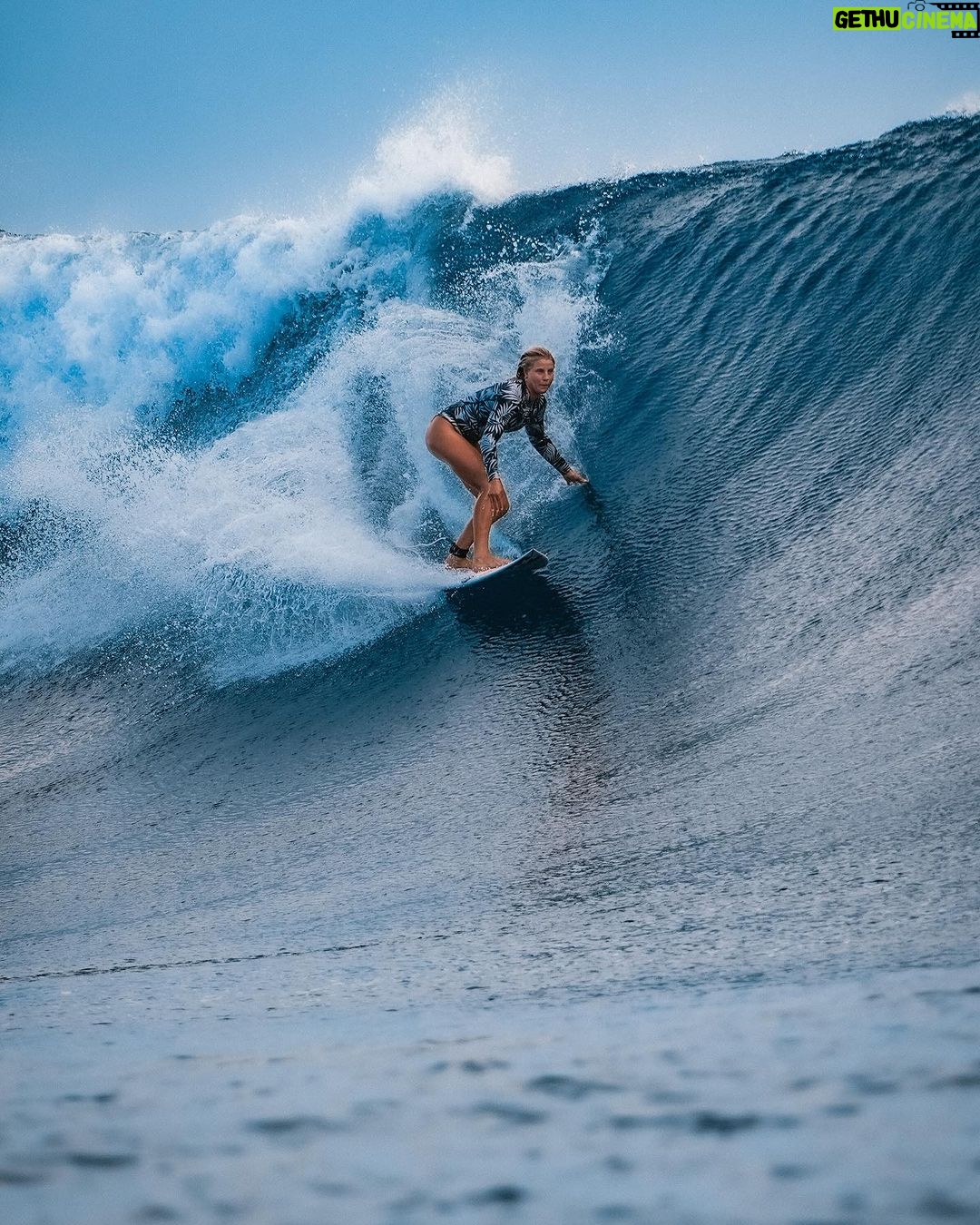 Birdy Nio FS Instagram - Teahupoo 我終於在海裡,碰到了天空。 龐大的海水累積成一道巨浪朝我迎面而來,手上拿著攝影機,無法游的太快,於是巨浪在我面前潰堤,隨之而來的是亂舞的白花,像是被人逼著跳著自己完全不熟的舞步,身體每個部位都被水花往不同的方向拉扯,巨浪將我押入水底翻滾,所幸踢著蛙鞋,於是任由白花翻滾了一陣之後,我將自己快速踢往更深的海裡遠離下一道浪的咆哮,試圖等待這幾波大浪離去。 無意間朝水面看了一眼, 才發現在海中看浪有多麽美。 海水推進淺灘後,因為多餘的海水無處可去,於是開始向上抬升,形成一道道浪湧,浪湧在堆積到極限之後,會在海浪最高的地方開始潰堤,覆蓋下來的水又再次被抬升,然後再次覆蓋,與空氣攪和之後,形成越來越多白花,從水底看,就像是一個正在旋轉的夢境。 發現原來浪湧覆蓋之處也有雲朵,從深處往上看,我們也都曾奔馳在那些白色的浪花之上,乘著浪板在海裡飛翔,在海裡,我終於碰到了天空。 誰會想到令人畏然的巨浪之下能有這麼美的風景呢?我幾乎無法分辨那是天空的藍還是海水的藍了。 每一個潛入水裡的浪人,都像是一個個在空中飛行的旅人,若水面之外是現實,那我願意一直活在那潰堤的瞬間,浮沉在光影和浪淬煉成的一抹混沌裡。 浪會一直來,痛苦還是會在,找到適合自己看世界的方式與角度,比起糾結在如何改變這個世界或許更是我所要經歷的。 我就住在藍色的遠方,那裡只有陽光來的方向,而所有的藍都會被一道一道的浪湧捲入魔幻的交界邊緣,你不需要岸,不需要睡著也不需要醒來。 只要在混沌裡抬頭看看,一粒沙裡也能找到一個世界,一滴雨裡也有一道彩虹,在一道浪裡,也能有一片天空。 All pic shoot by SONY A7Slll @sonytaiwan #用心流浪 #好好生活 #防曬不要擦太多 #浪人 #surf #surfing #underwaterphotography#adventures #landscapephotography #explore #nature #hippie #boho #bohostyle #bohemia Teahupoo, French Polynesia