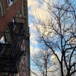 Bo Maerten Instagram – lente beginnetjes in nyc met ❤️