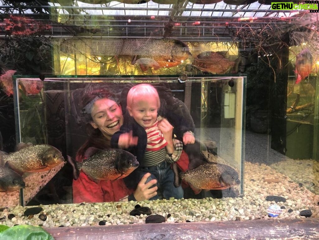 Bo Maerten Instagram - moos & piranhas A Love Story