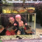 Bo Maerten Instagram – moos & piranhas A Love Story