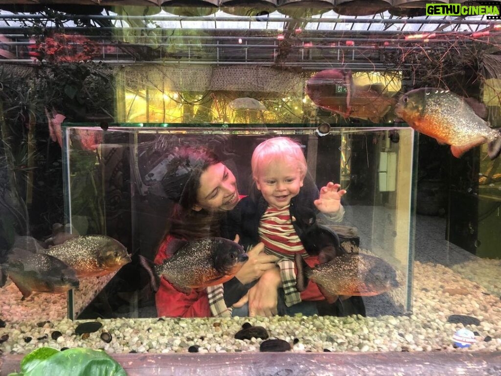 Bo Maerten Instagram - moos & piranhas A Love Story