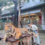 Boat Anakame Binsaman Instagram - 🐅🤍
