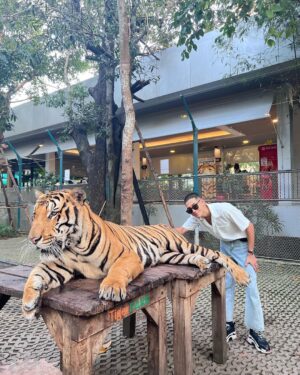 Boat Anakame Binsaman Instagram - 🐅🤍