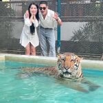 Boat Anakame Binsaman Instagram - 🐅🤍