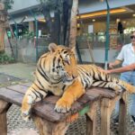 Boat Anakame Binsaman Instagram - 🐅🤍