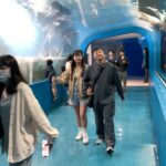 Boat Anakame Binsaman Instagram - You are my aquawoman 🩵 X Park水族館/華泰名品城outlet