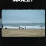 Bob Marley Instagram - Here the final recap of our #SummerOfMarley event series with @usal.project last month! Give thanks to the #USAL team and our friends @umgcatalog for helping to make this happen, and to the participants who joined us at the three fully-booked outings 🙏🏾 be it through the music, through the message, or through the appreciation of nature’s beauty & blessings, we are all connected to Bob in our own way. What makes YOU feel connected to him in your daily life? #bobmarley #usalproject #ume #beachcleanup #gardening #foraging #community #teamwork #nature #onelove